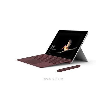 Microsoft Surface Go (Intel Pentium Gold...Computadoras Brillo